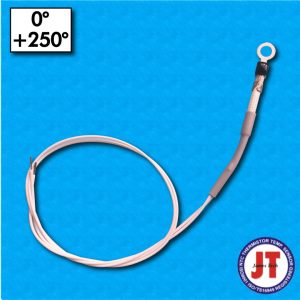 Sonda termica STJT-RAD11 - Range 0°/+250°C - Cavetti 320/320 mm - Beta 3970 - Con occhiello